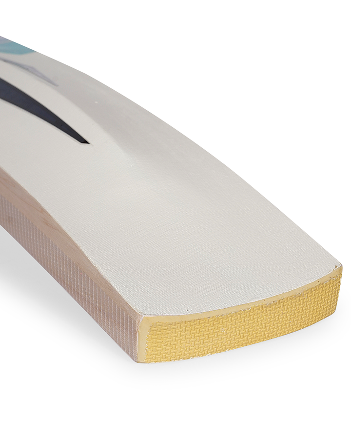 DSC Pearla Shine English Willow Cricket Bat - SH