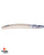 DSC Pearla Wonda English Willow Cricket Bat - Youth/Harrow