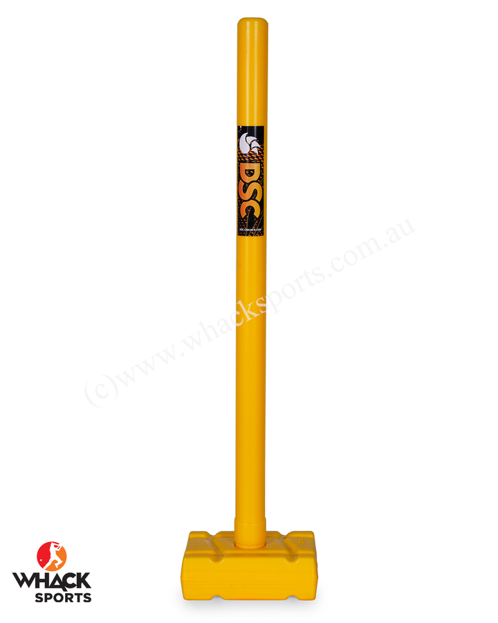 DSC Cricket Plastic Set - Senior