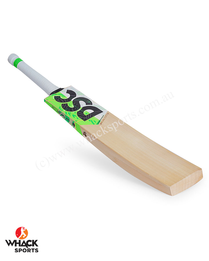 DSC Spliit Special Edition English Willow Cricket Bat - Boys/Junior (2024/25)