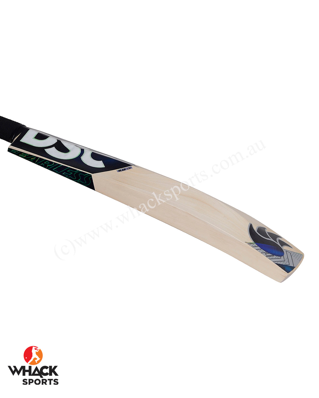 DSC Blak 100 English Willow Cricket Bat - SH (2024/25)