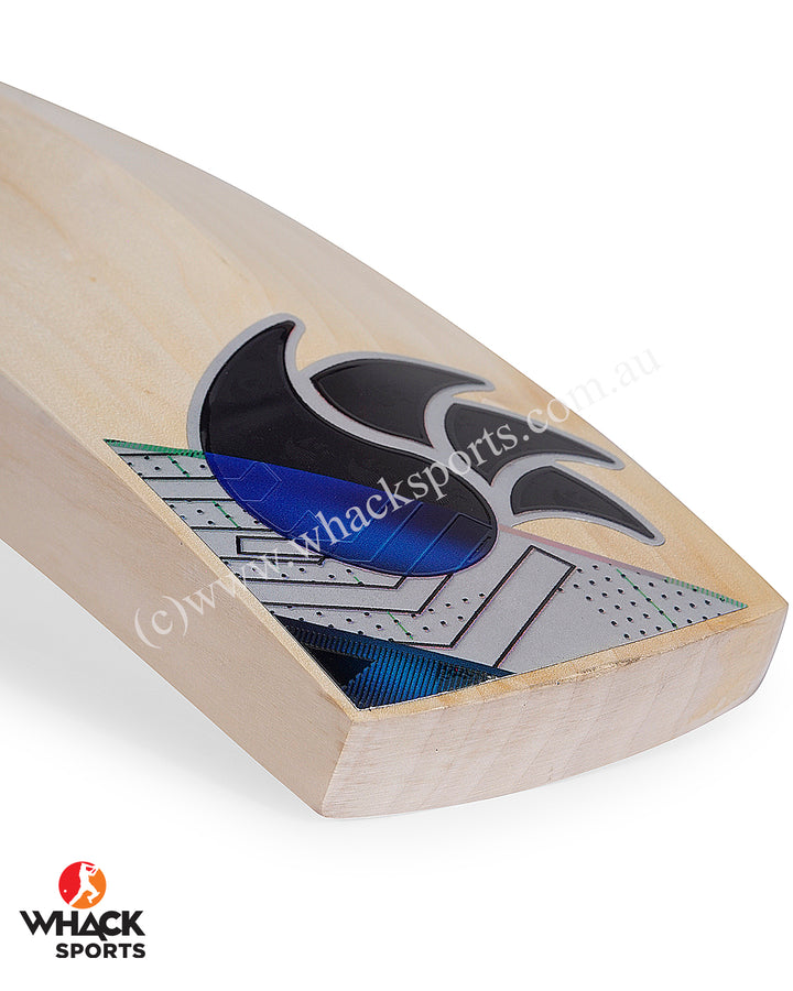 DSC Blak 100 English Willow Cricket Bat - SH (2024/25)