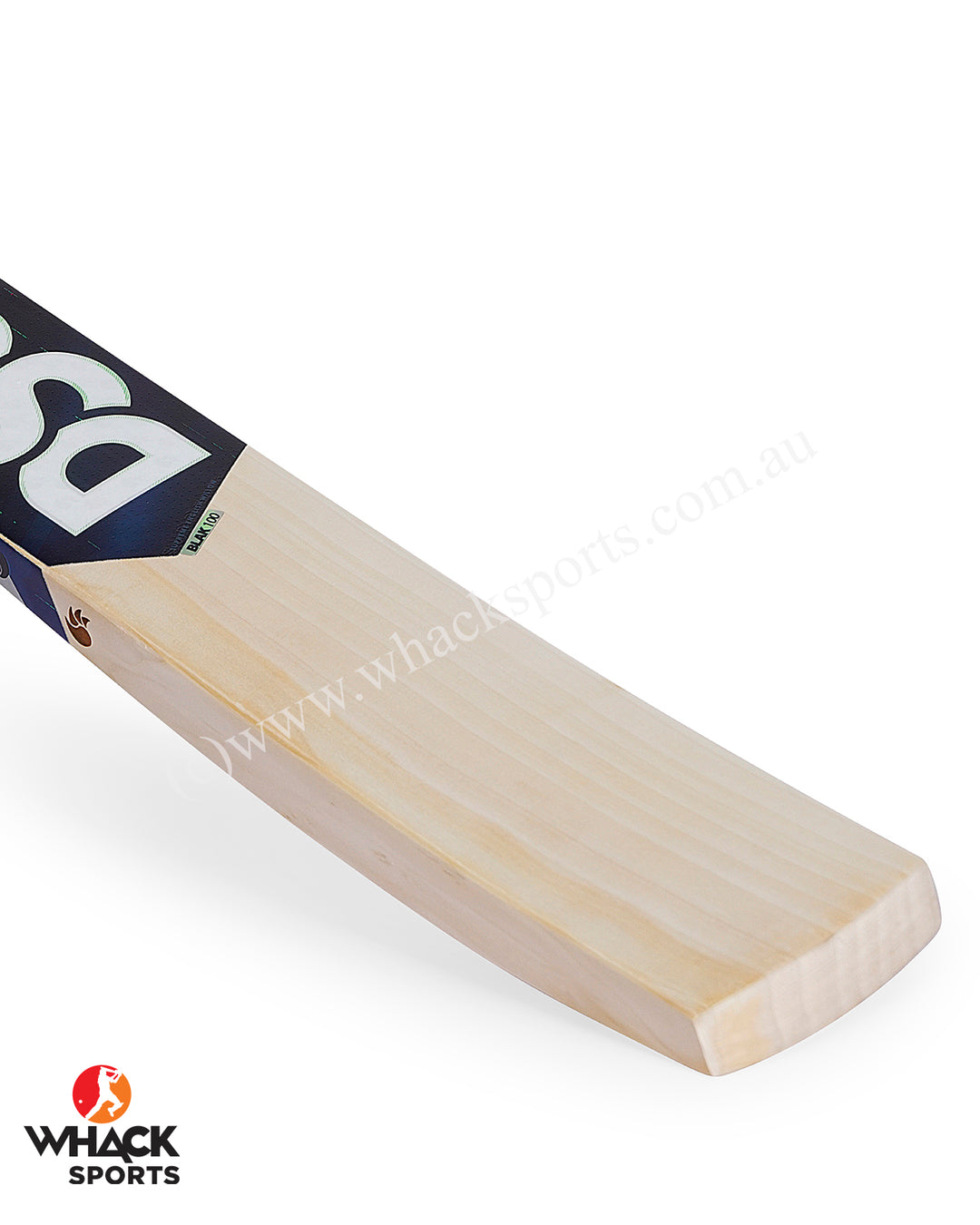 DSC Blak 100 English Willow Cricket Bat - SH (2024/25)