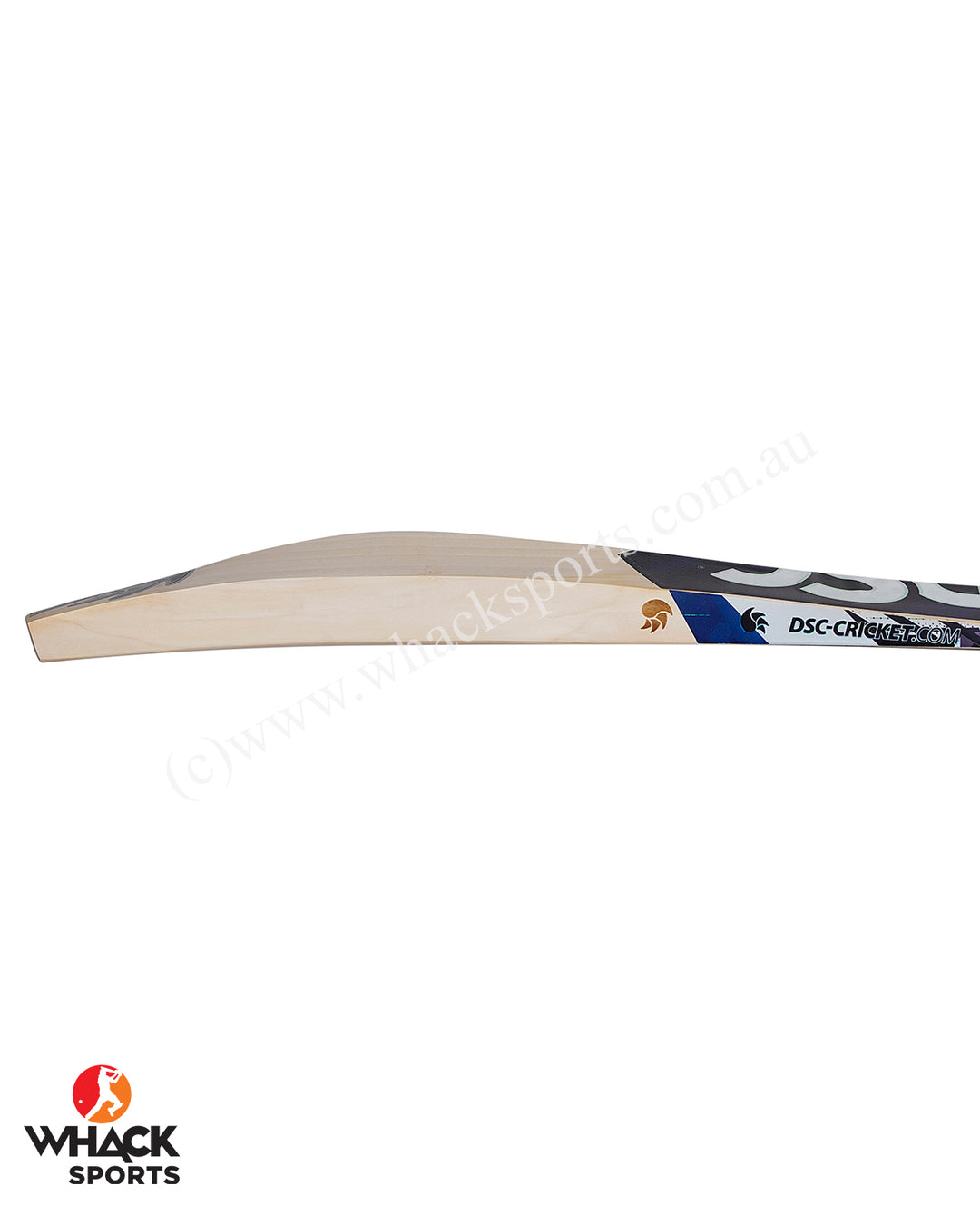DSC Blak 100 English Willow Cricket Bat - SH (2024/25)