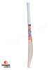 DSC Krunch DW 100 English Willow Cricket Bat - SH (2024/25)