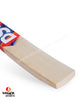 DSC Krunch DW 100 English Willow Cricket Bat - SH (2024/25)