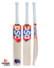 DSC Krunch DW Intense Mammoth English Willow Cricket Bat - SH