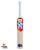DSC Krunch DW Intense Mammoth English Willow Cricket Bat - SH