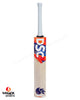 DSC Krunch DW Intense Mammoth English Willow Cricket Bat - SH