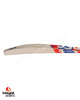 DSC Krunch DW Intense Mammoth English Willow Cricket Bat - SH