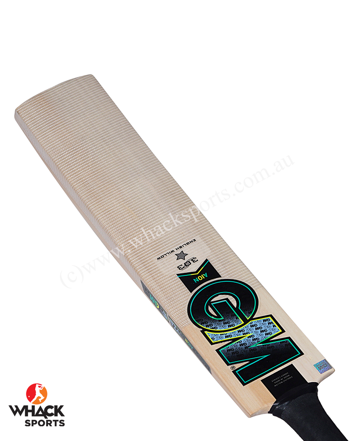 GM Aion 303 English Willow Cricket Bat - SH