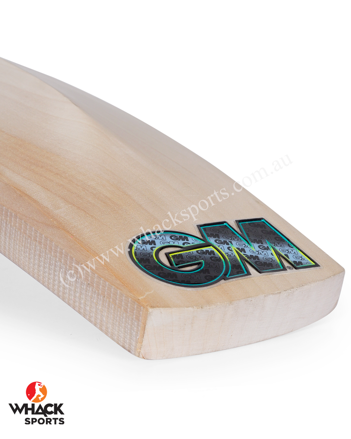 GM Aion 303 English Willow Cricket Bat - SH