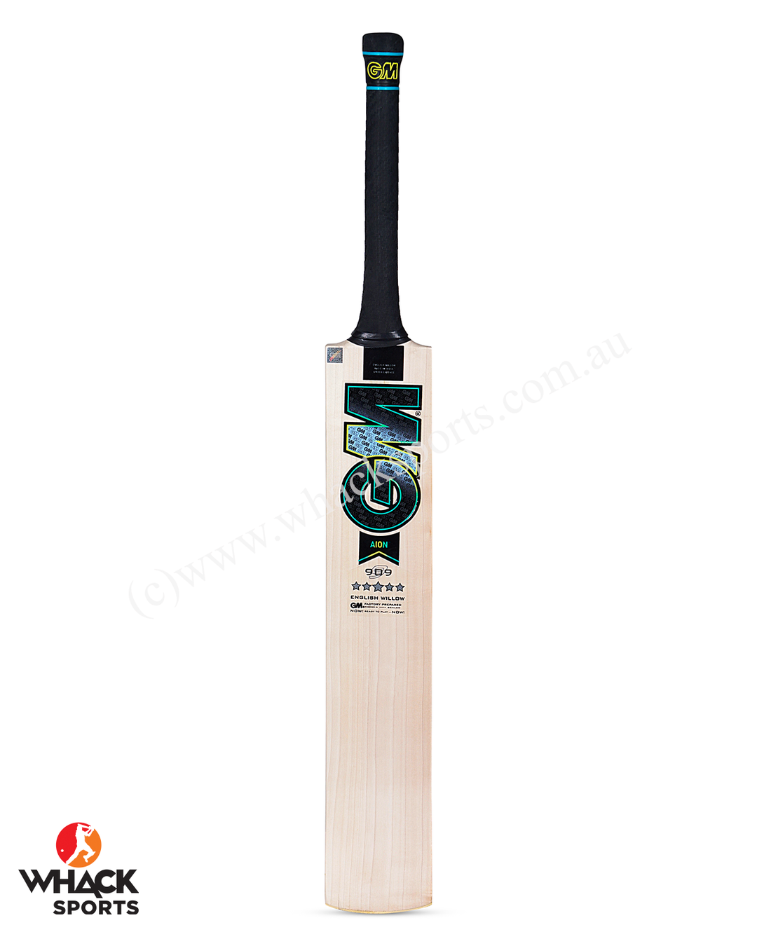 GM Aion 909 English Willow Cricket Bat - SH