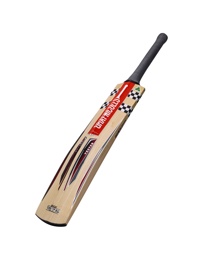 Gray Nicolls Vector 950 Play Now English Willow Bat - Junior