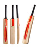 Gray Nicolls Scoop 5 Star English Willow Cricket Bat - SH