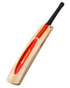 Gray Nicolls Scoop Extra Special English Willow Cricket Bat - SH