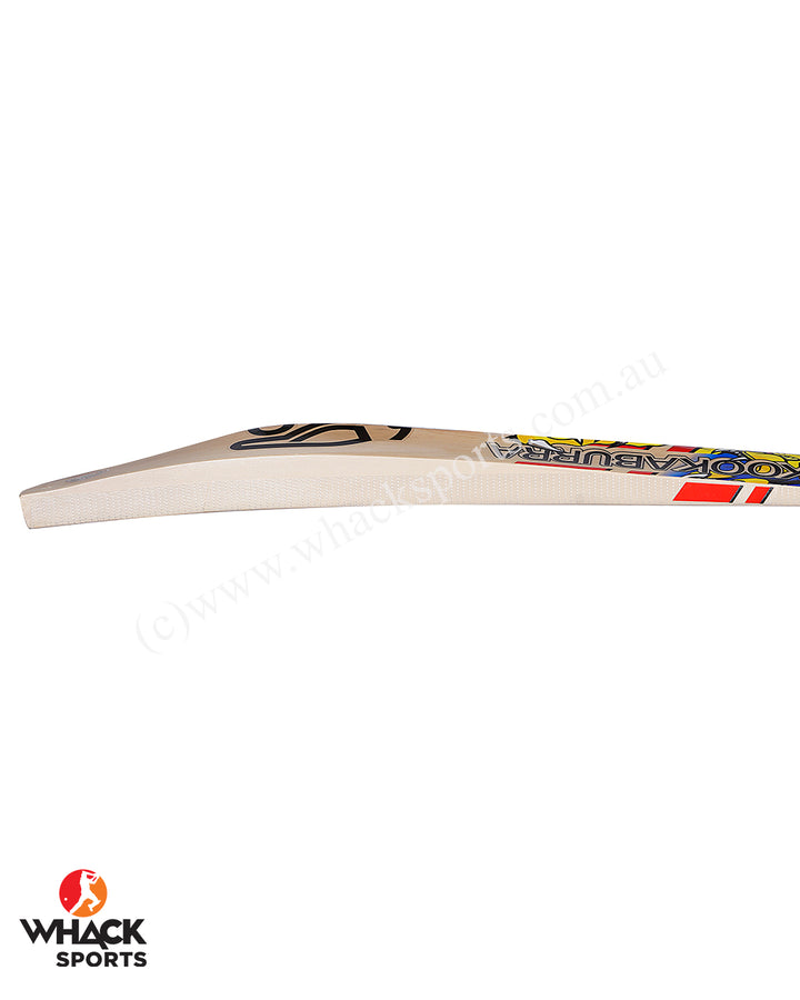 Kookaburra Beast Pro 6.2 English Willow Cricket Bat - SH