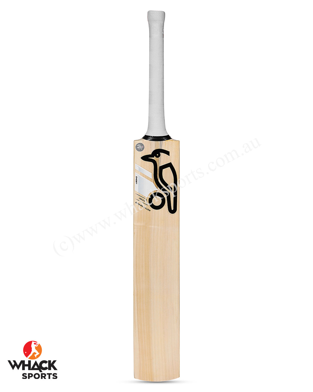Kookaburra Ghost Pro 8.0 Kashmir Willow Cricket Bat - Boys/Junior
