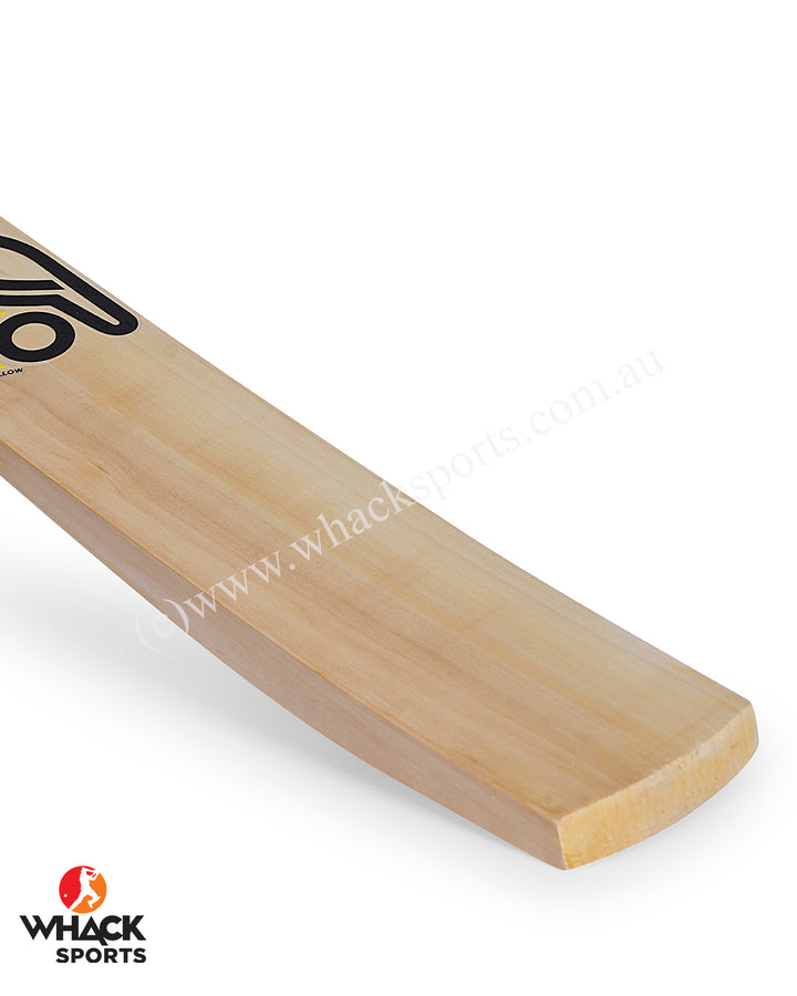 Kookaburra Kahuna Pro 5.0 English Willow Cricket Bat - Boys/Junior