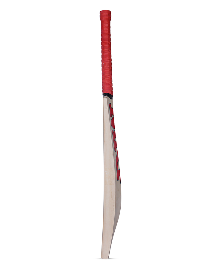 MRF Special Edition English Willow Cricket Bat - Junior