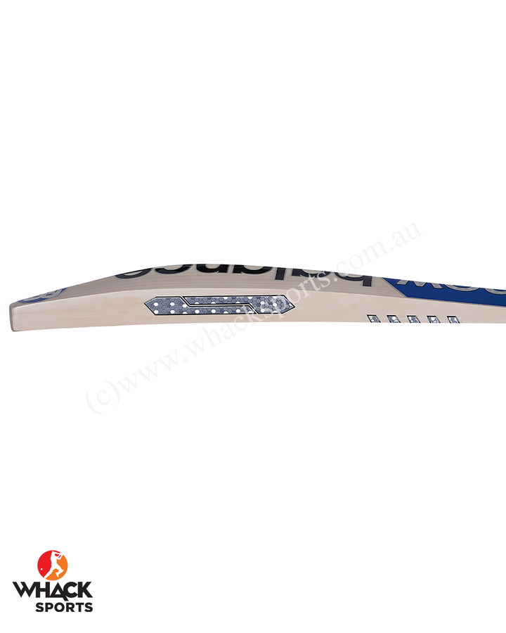 New Balance TC 800i Pro English Willow Cricket Bat - SH