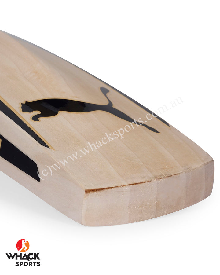 Puma One8 Future 5.1 English Willow Cricket Bat - SH