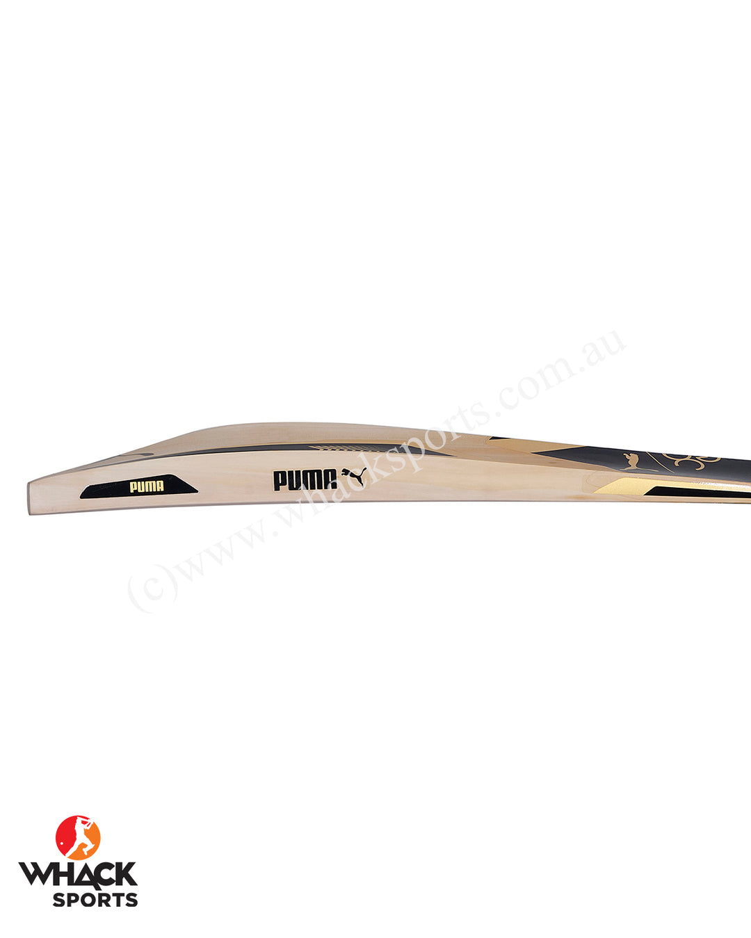 Puma One8 Future 5.1 English Willow Cricket Bat - SH