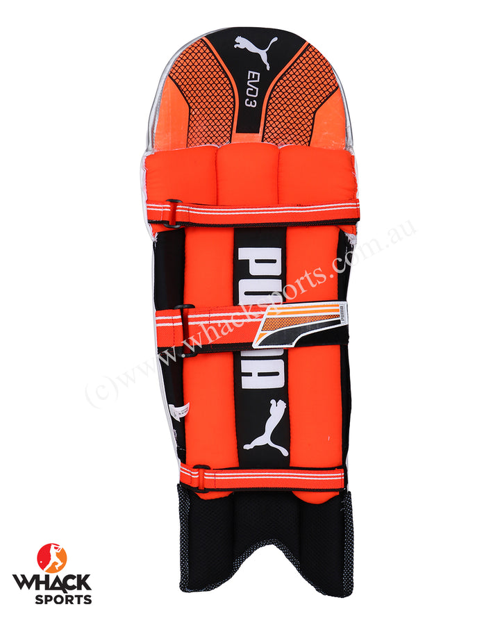 Puma Evo 3 Cricket Batting Pads - Junior