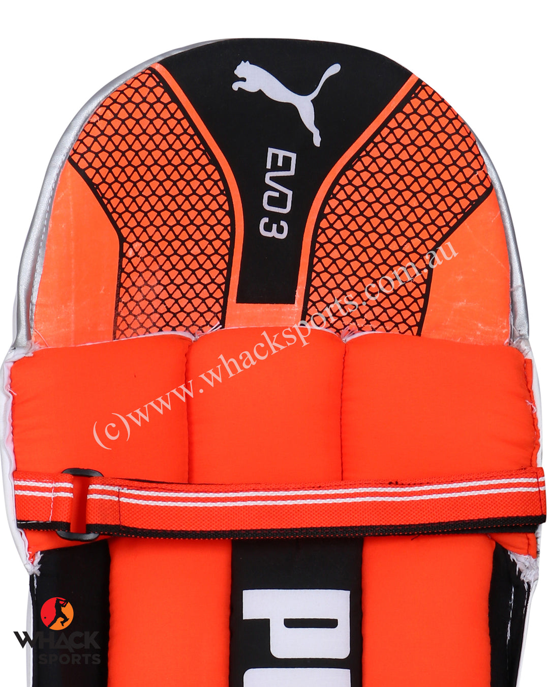 Puma Evo 3 Cricket Batting Pads - Junior