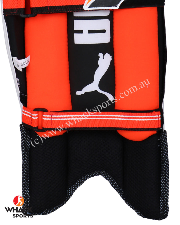 Puma Evo 3 Cricket Batting Pads - Junior