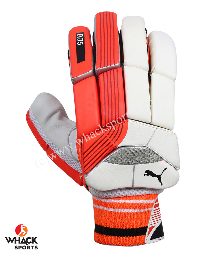 Puma Evo Power 5 Cricket Batting Gloves - Small Boys/Junior