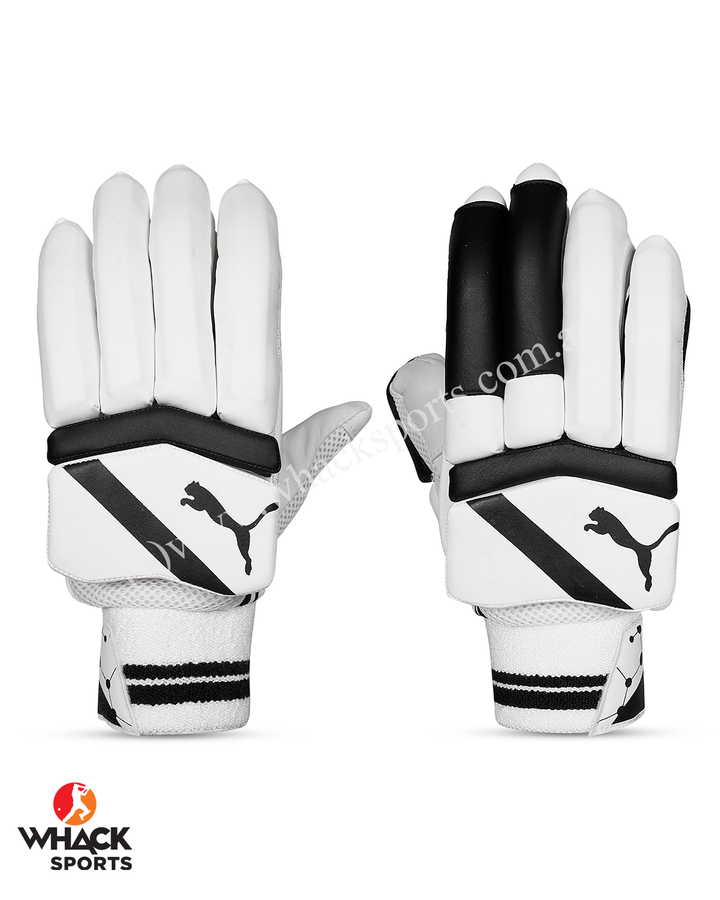 Puma Future 2.2 Cricket Batting Gloves - Adult