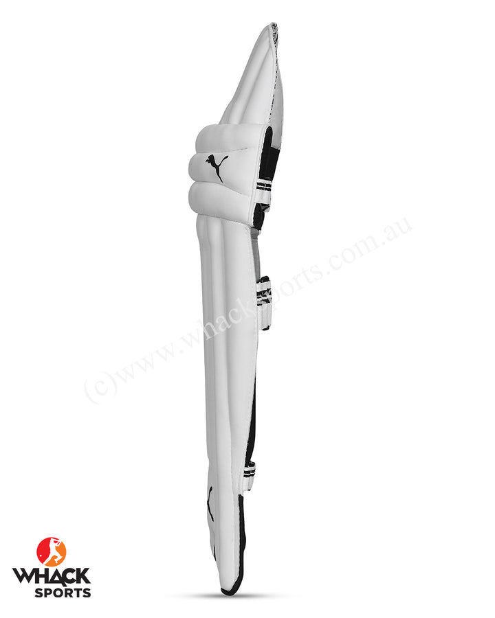 Puma Future 5 Cricket Batting Pads - Youth