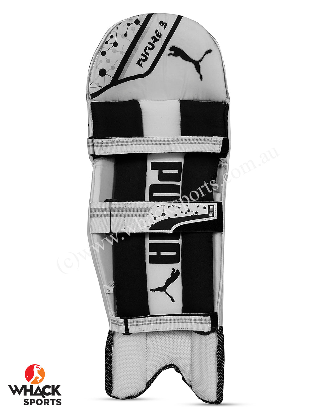 Puma Future 20.3 Cricket Batting Pads - Adult