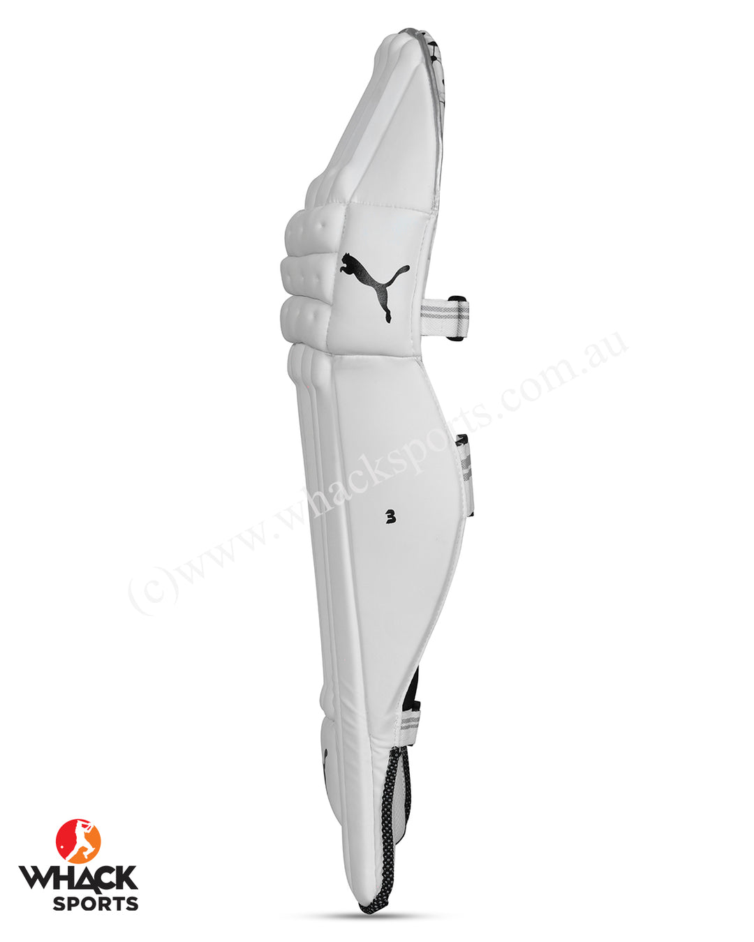 Puma Future 20.3 Cricket Batting Pads - Adult