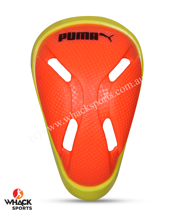 Puma Future Kashmir Willow Cricket Bundle Kit - Junior