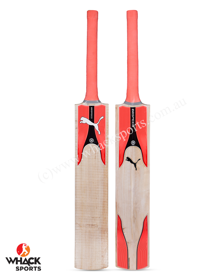 Puma One 8 Kashmir Willow Cricket Bundle Kit - Junior