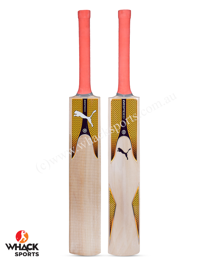 Puma One 8 Kashmir Willow Cricket Bundle Kit - Junior