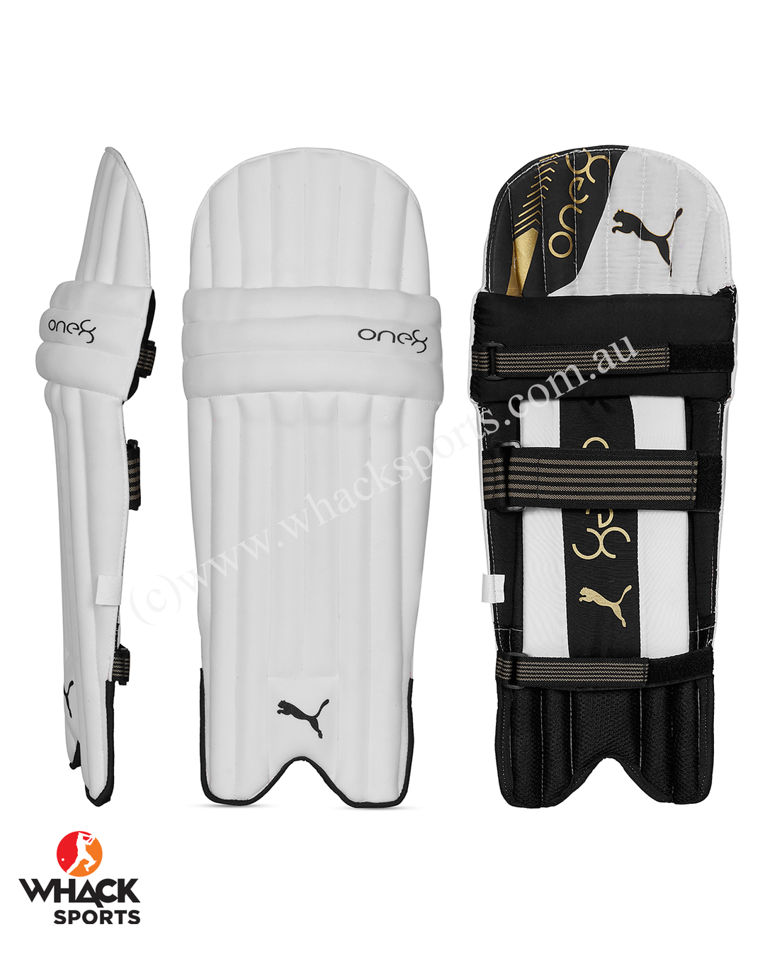 Puma One 8 Kashmir Willow Cricket Bundle Kit - Junior