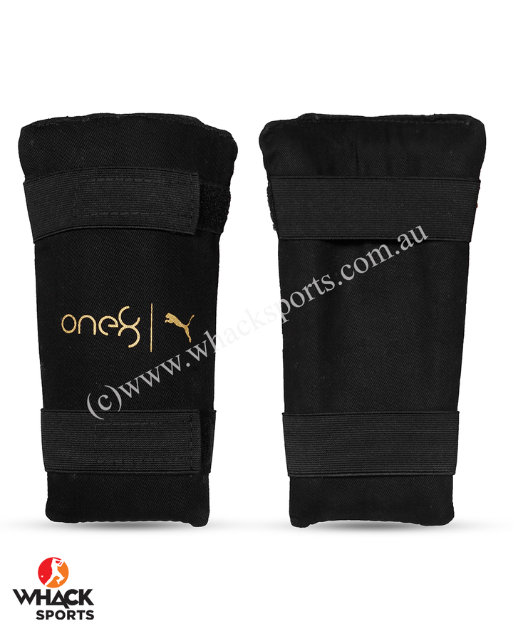 Puma One 8 Kashmir Willow Cricket Bundle Kit - Junior