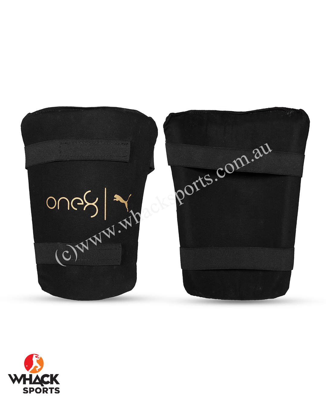 Puma One 8 Kashmir Willow Cricket Bundle Kit - Junior