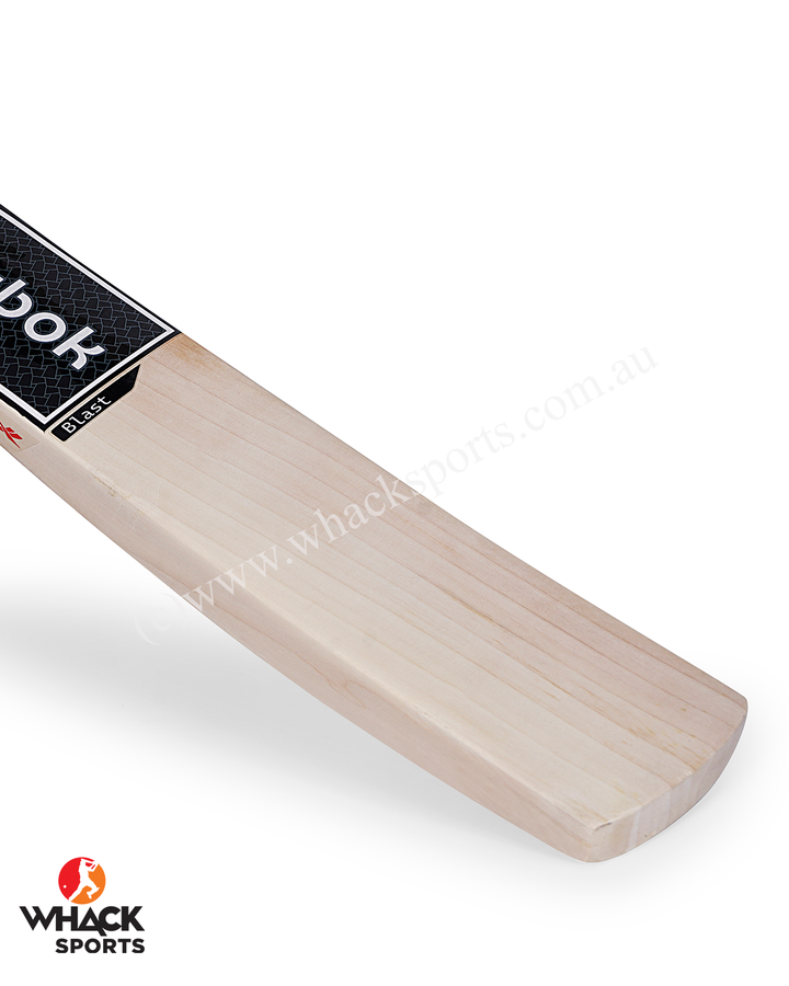 Reebok Blast English Willow Cricket Bat - SH