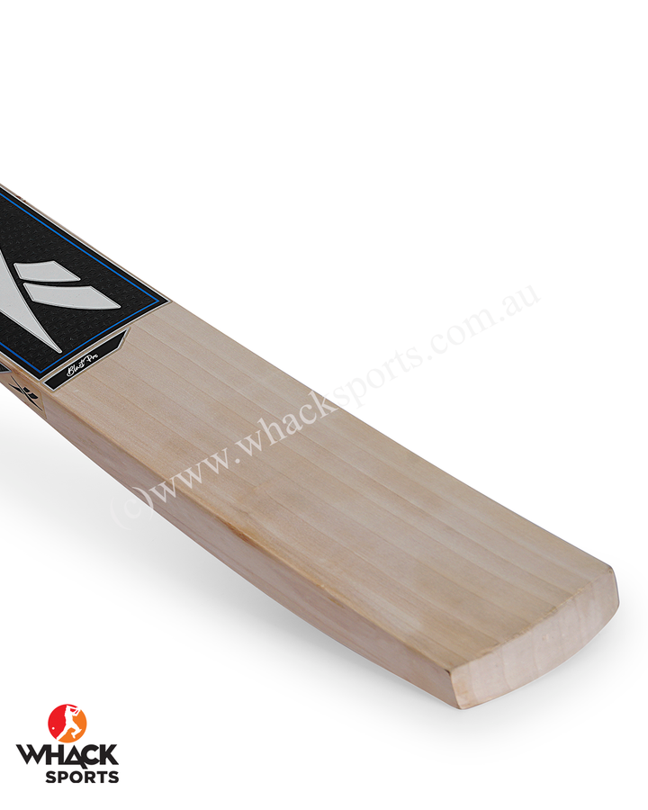 Reebok Blast Pro English Willow Cricket Bat - SH