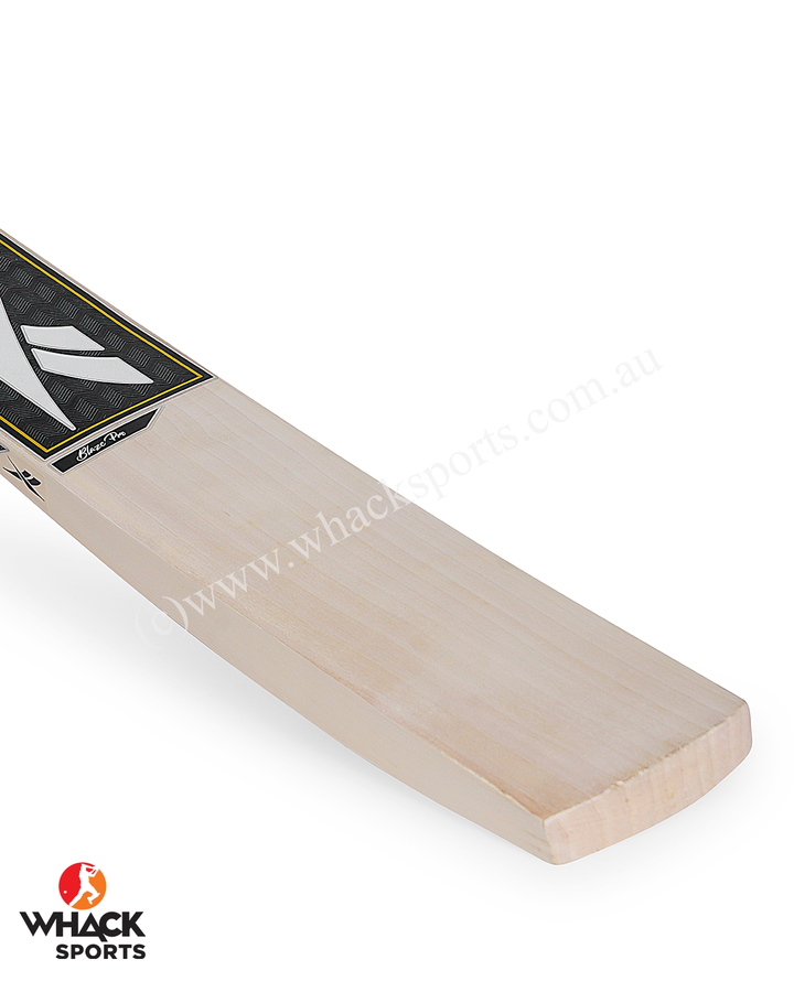 Reebok Blaze Pro English Willow Cricket Bat - SH