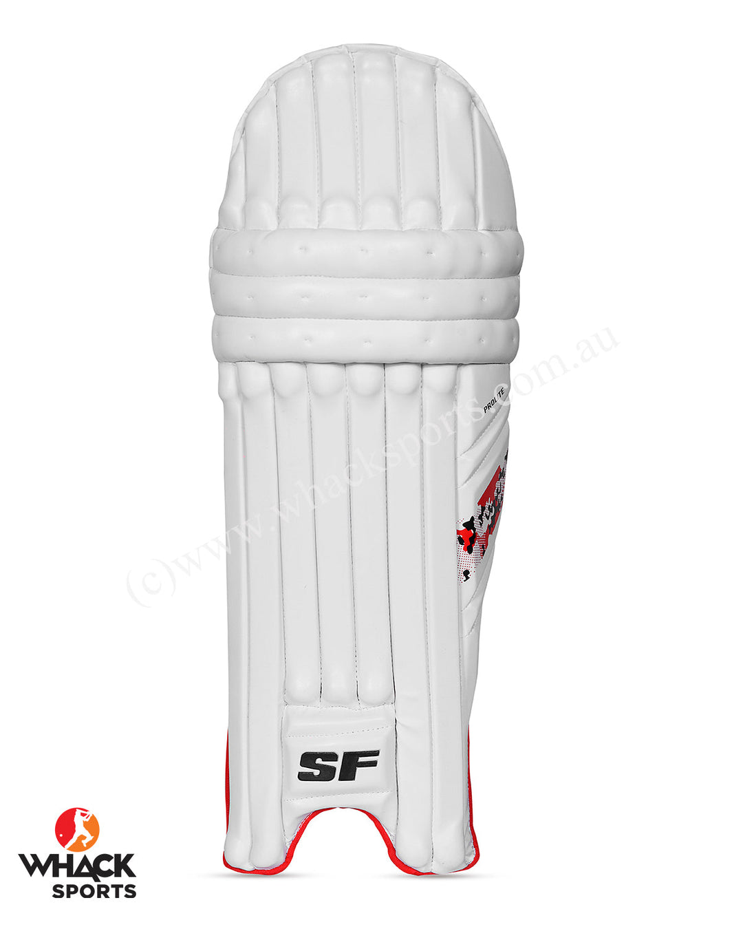 SF Prolite Batting Pads and Gloves Bundle - Adult