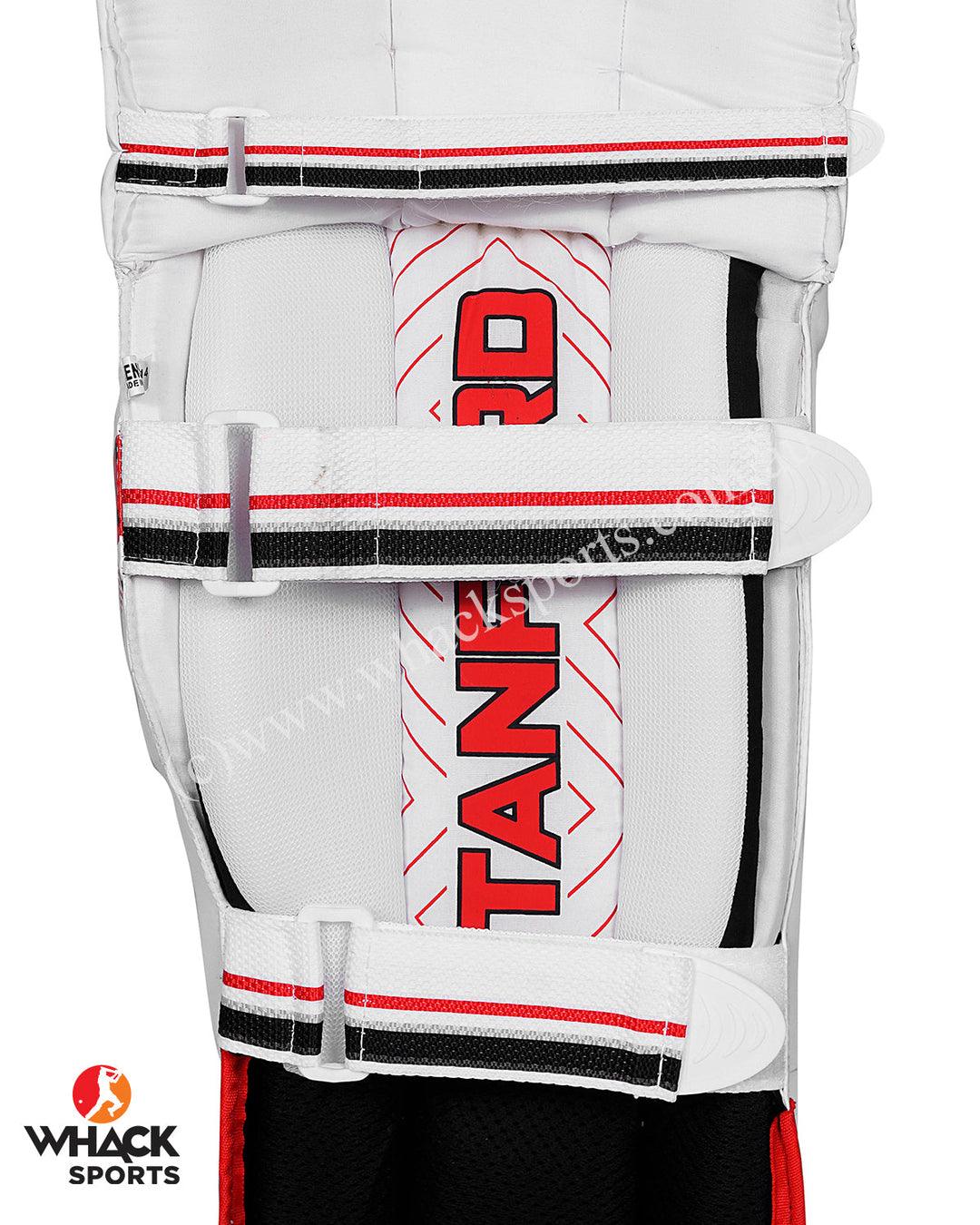 SF Prolite Batting Pads and Gloves Bundle - Adult