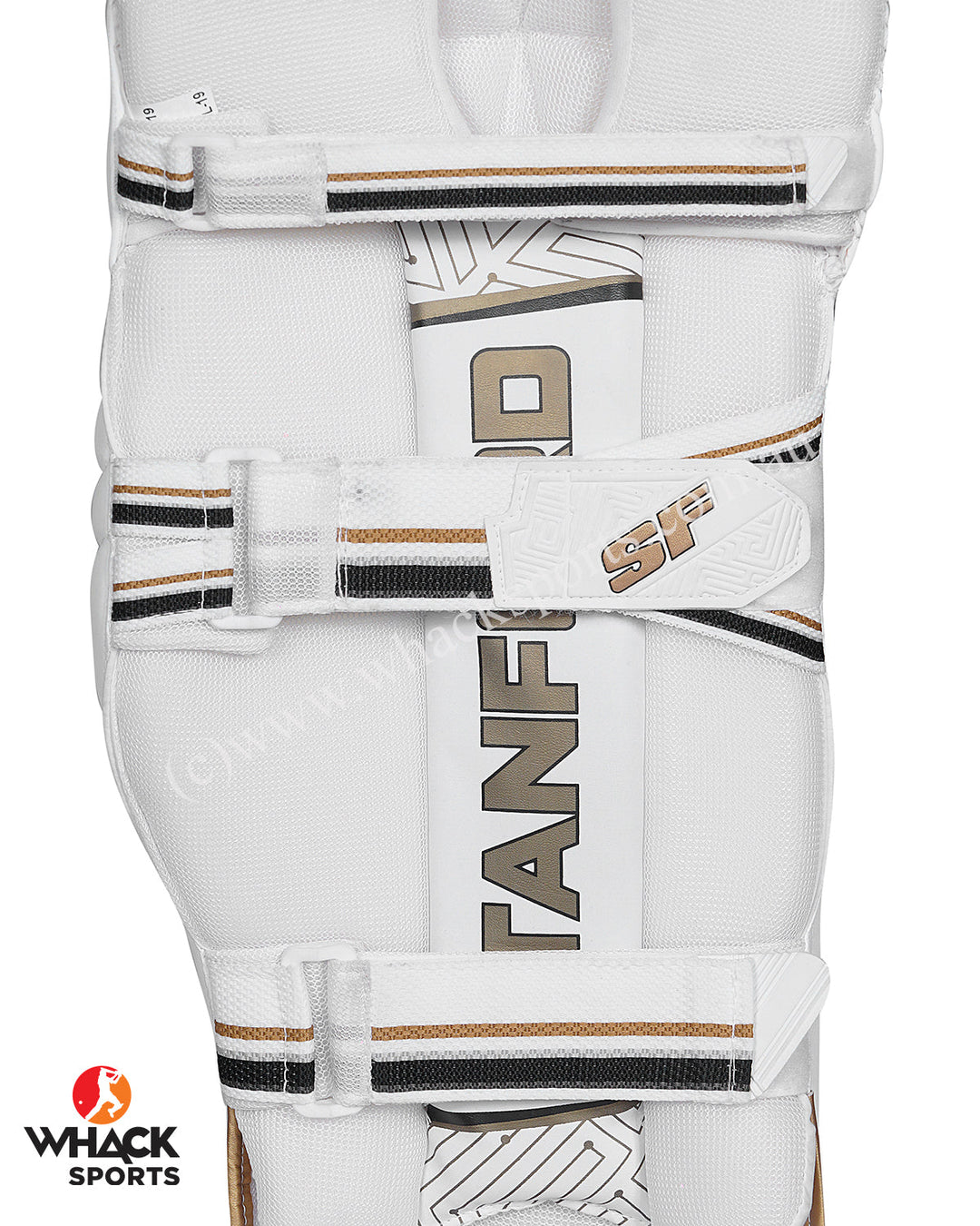 SF Sapphire Batting Pads and Gloves Bundle - Adult