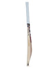 SG KLR Edition English Willow Cricket Bat - SH