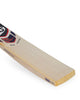 SG KLR Edition English Willow Cricket Bat - SH