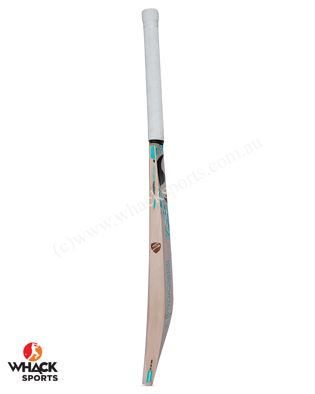 SG Player Edition English Willow Cricket Bat - SH
